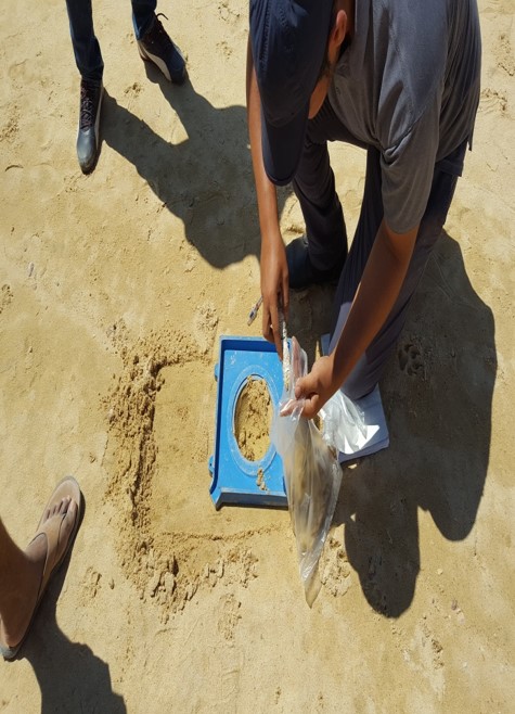 Project of sorting and exporting agricultural produce in Nubara