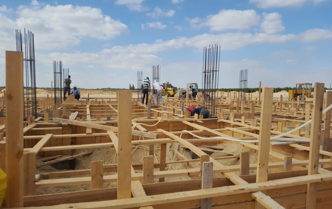 Project of sorting and exporting agricultural produce in Nubara